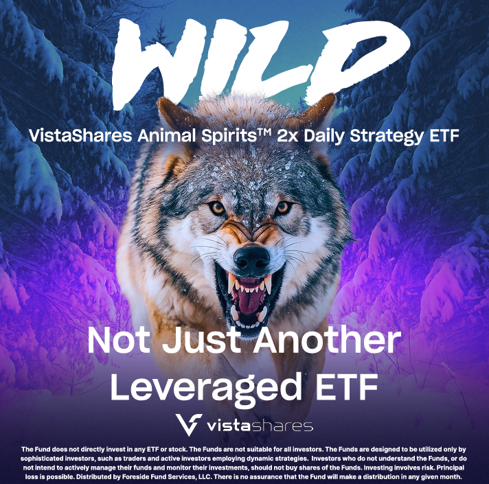 WILD: Leveraged Exposure to the Most Widely Traded Stocks